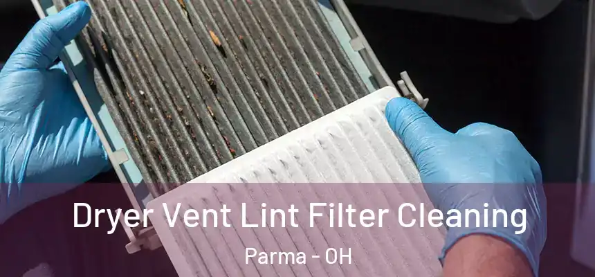 Dryer Vent Lint Filter Cleaning Parma - OH