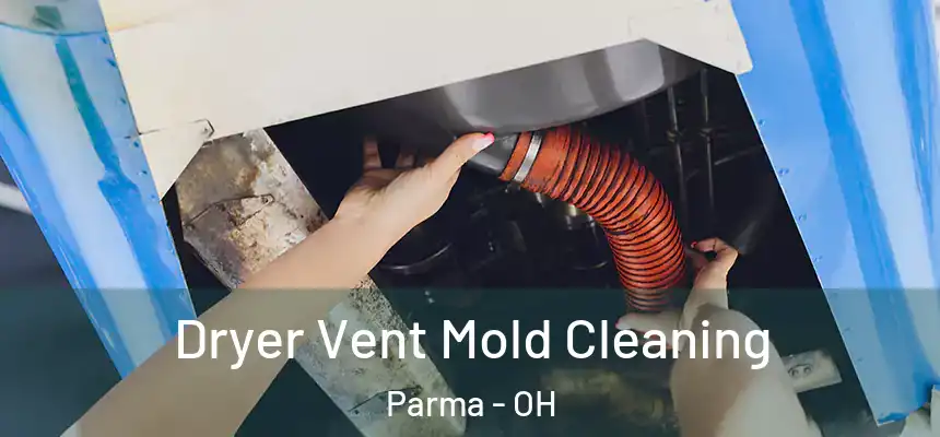 Dryer Vent Mold Cleaning Parma - OH