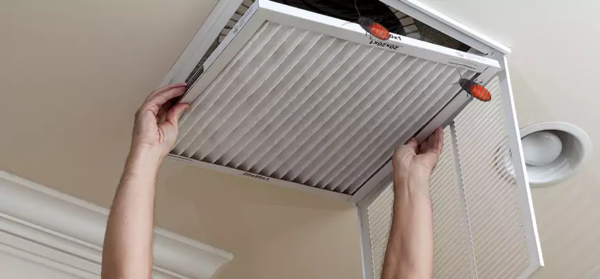 Preventive Cockroach-Proofing for Ducts in Parma