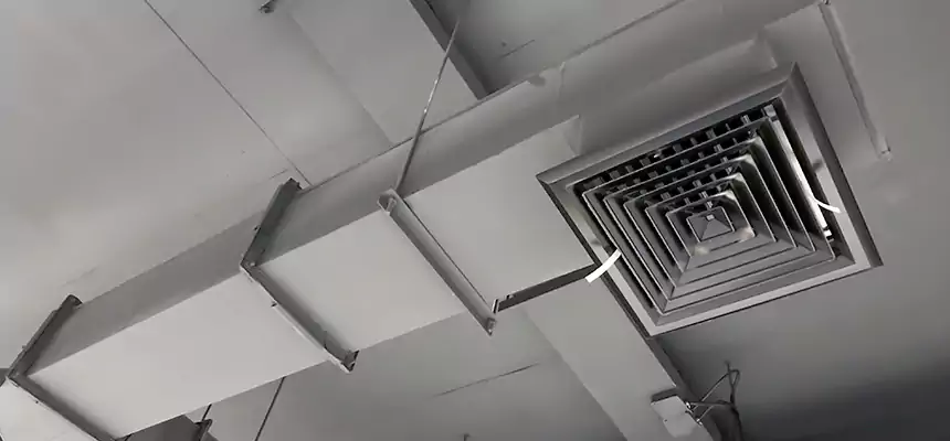 Our Rodent Droppings In Vents Services in Parma, OH