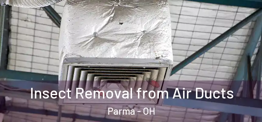 Insect Removal from Air Ducts Parma - OH