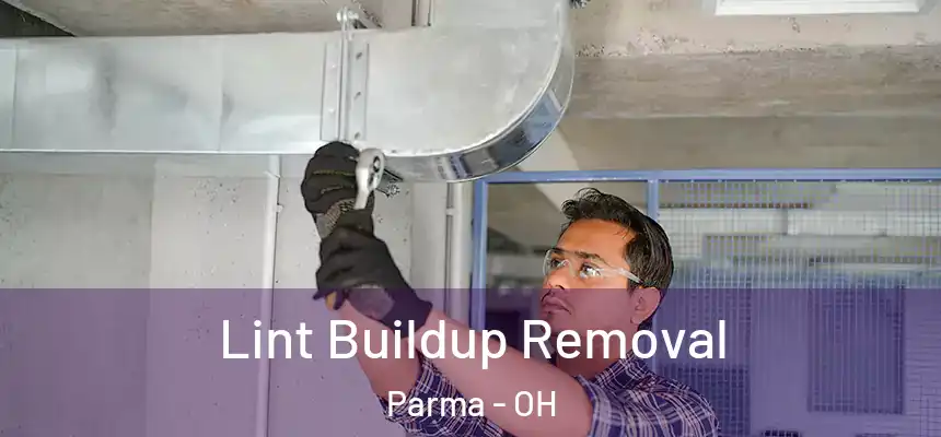 Lint Buildup Removal Parma - OH