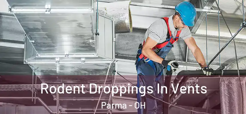 Rodent Droppings In Vents Parma - OH