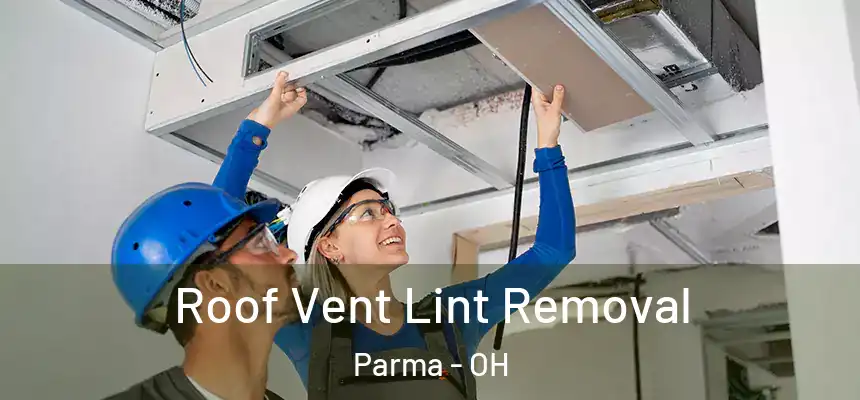 Roof Vent Lint Removal Parma - OH