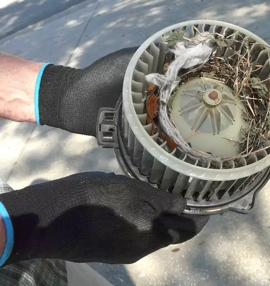 About Air Duct Rat Removal in Parma, OH