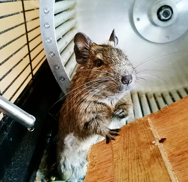 Why Homeowners & Businesses Trust Us Parma, OH?