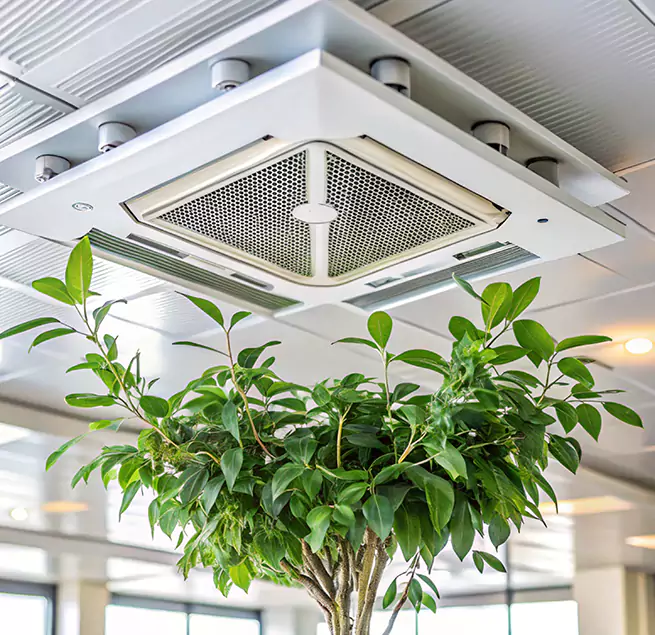 Why Homeowners & Businesses Trust Us in Parma, OH?