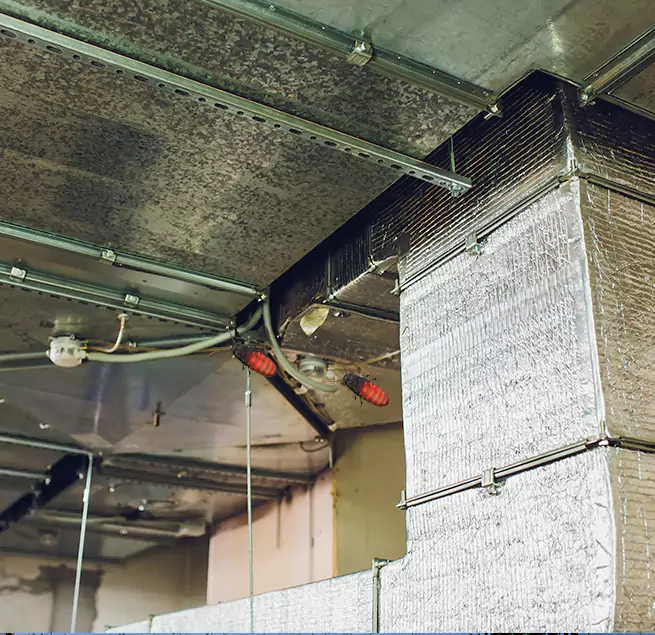 Why Homeowners & Businesses Trust Us Parma, OH?