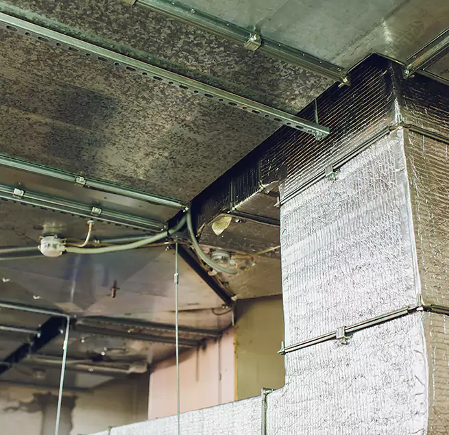 Why Homeowners & Businesses Trust Us in Parma, OH?